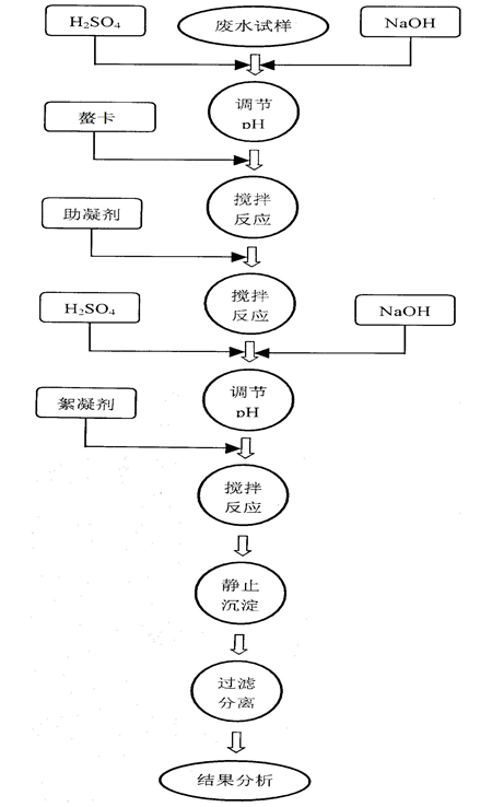 實驗過程